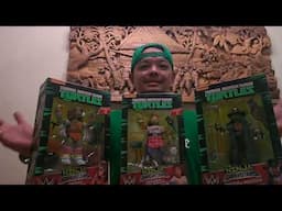 Teenage Mutant Ninja Turtles collab with WWE   The Filipino Picker