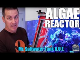 Geo's Reef ALGAE REACTORS - Mr. Saltwater Tank - Raw, Uncut, and First Impressions