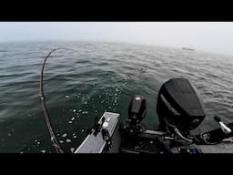 Catching HUGE Fish in the Fog w/ @AddictedFishing (CATCH CLEAN COOK)