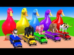 5 Giant Duck Cartoon,Cow,Elephant Mammoth,Tiger,Lion,Paint Wild Animals Crossing Fountain Animation