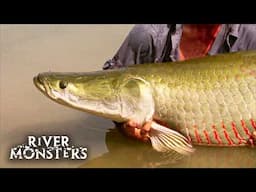 River Monsters Full Episode - Season 1, Episode 4 - Amazon Assassins