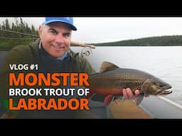 Monster Brook Trout of Labrador