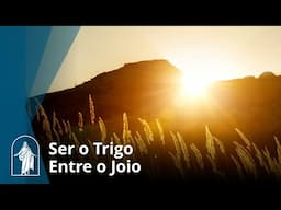 Ser o Trigo Entre o Joio