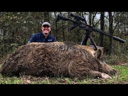 The HEAVIEST sow I’ve ever hunted. Hard working father. (Catch & Cook)