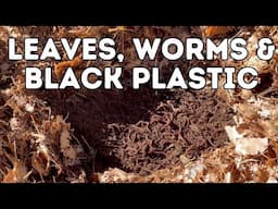 Leaves, Worms, & Black Plastic