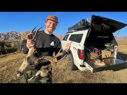 Overnight Truck Camping in the High Desert W/ a Mule Deer