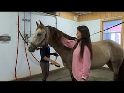 Giddy up! And trot along for a special event at Rainbow Riders in St. John’s