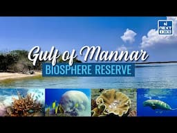 Biosphere Reserves in India (Through Animation) - Gulf of Mannar | UPSC CSE | NEXT IAS #environment