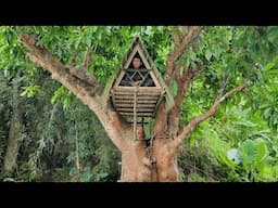 Build a tent on top of a giant tree - for a cool, comfortable shelter