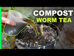 Advanced SECRET Compost Worm Tea RECIPE with Step by Step how to make this MIRACLE FERTILIZER