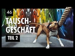 Das Tauschgeschäft Teil 2: "Aus" festigen und belohnen im Hundetraining | Tag 46