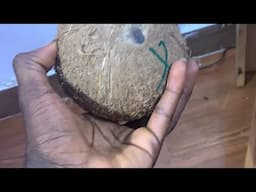 Put your name in a Coconut water and watch How doors of blessings will be opened for you immediately