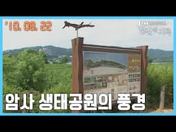 암사 생태공원의 풍경┃ TBS 한강의 기록 2010-08-22