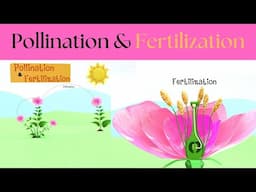 Pollination & Fertilization for Kids | Pollination & Fertilisation Explained