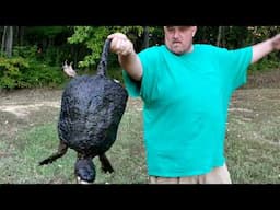 Sighting in The Crossbow & A Sick Turtle