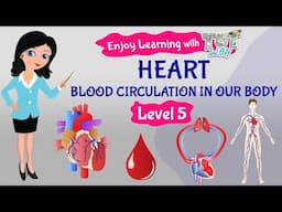 Circulatory System | Blood Vessels | Veins | Venules | Human Heart | Blood Circulation | Science