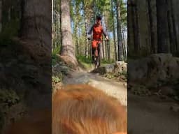 Golden Retriever Films Mountain Biker 🎬 Evan Macalister #Shorts #Dogs