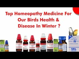 Top Homeopathy Medicine For Our Birds Health & Disease In Winter ?