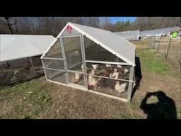 A walk around our Hydroponic Farm in December