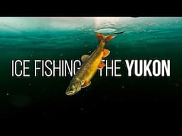 Ice Fishing in the YUKON: Monster Lake Trout on a Remote Wilderness Snowmobile Adventure - Full Doc.