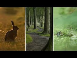 How I Capture Stunning Wildlife Landscape and Macro Shots in Just One Day