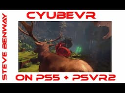 cyubeVR on PS5 + PSVR2