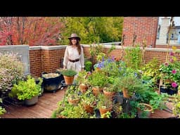 November Container Garden Tour!🪴So Much Is Still Growing On My Front Deck!