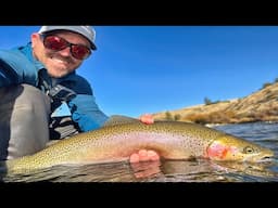 Steelhead Heartbreak & A Giant Mystery Trout