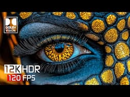 World's Best HDR 12K Video ULTRA HD Dolby Vision (4K / 8K TV)