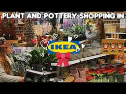 Plant and pottery shopping in IKEA! + HAUL