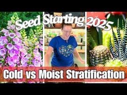 Do Your Seeds Need Cold Stratification? 🌱 || Seed Starting 2025 || Starting Cactus and Foxglove