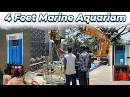 Building a Stunning 4ft Marine Aquarium | Step-by-Step Guide for Saltwater Enthusiasts 🌊🐠