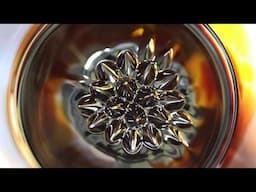 Ferrofluid and Magnet Fun