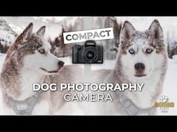 The BEST Camera for DOG Photography + BEGINNER TIPS | DOGGO LIFE