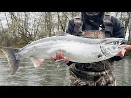 Other Hardware Tricks for Salmon! |  Some ideas and tips to be different from the rest!