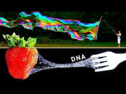 Extracting Strawberry DNA to make Massive Bubbles