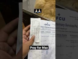 Max suffring from kidney problem || pray for Max 🙏🏻