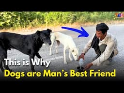 This Man and His Dogs Will Surely Melt Your Heart | सुनकर आप भी हैरान रह जायेंगे