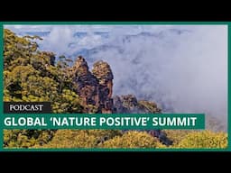 Global Nature Positive Summit features Indigenous leaders