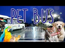 PET BUS - Episode 3 (Friends of Animal Pet Rescues)