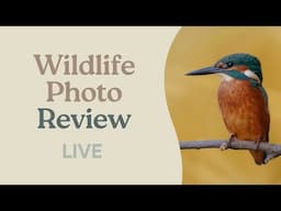 Wildlife Photo Review - LIVE