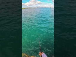 Catching My Favorite Bait: No Reel, No Problem!