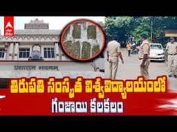 Ganja In National Sanskrit University | తిరుపతి సంస్కృత విశ్వవిద్యాలయంలో గంజాయి | ABP Desam