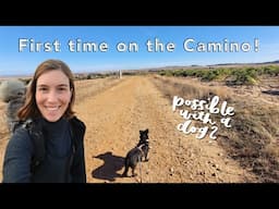 Walking the Camino de Santiago with a dog (and a tent!) | Via de la Plata: Salamanca to Zamora