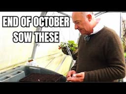 The OCTOBER Sowing Guide Every Gardener Needs