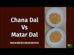 Chana Dal Vs Matar Dal | चना दाल Vs मटर दाल | Dal | Everyday Life # 345