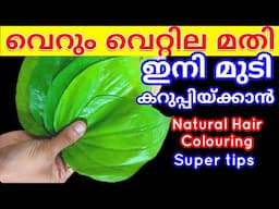 എന്റമ്മോ വെറ്റില കൊണ്ട് മുടി കറുപ്പിയ്ക്കാമോ | Natural hair dye|Herbal hair dye | Hair colouring