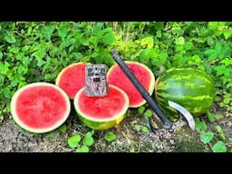 What Happens to WATERMELON Left in the Woods? (Trail Camera)