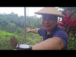 RICE TERRACES NICE & BEAUTIFUL VIEW #agriculture #adventure