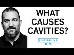 How Cavities Form & How to Prevent Them | Dr. Andrew Huberman